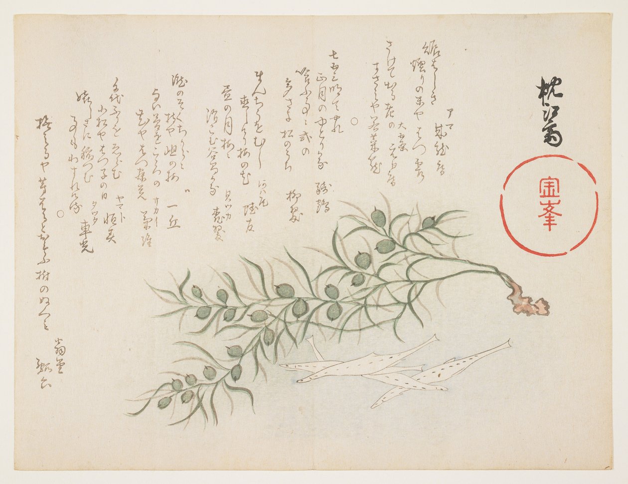 Liten vit fisk och vattengräs, ca 1854-59 (trätryck i färg) av Chinksai