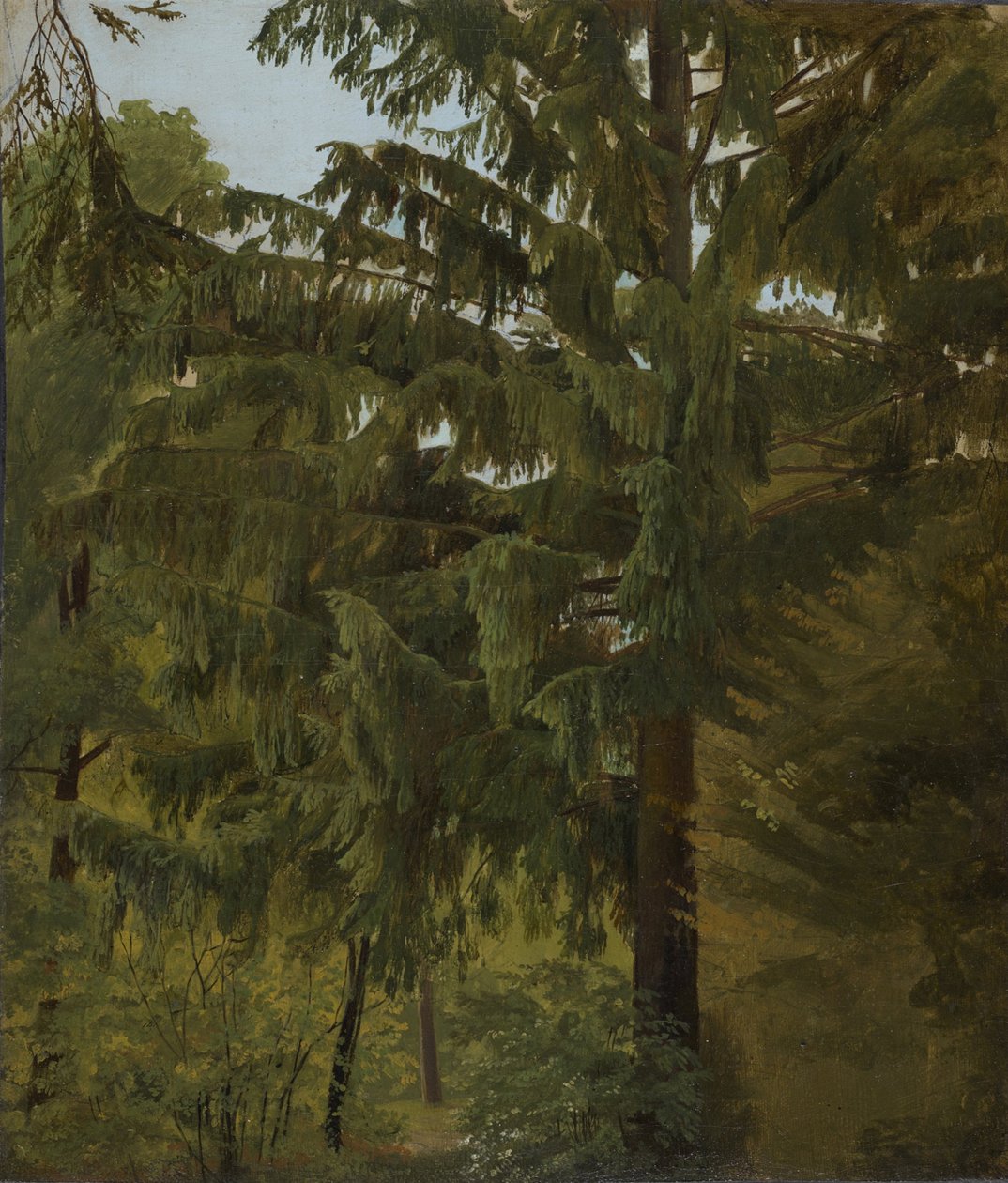 Gran i lövskogen av Christian Friedrich Gille