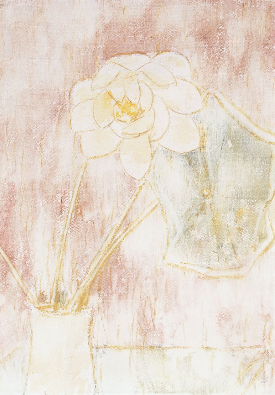 lotusblomma; Lotus blomma av Christian Rohlfs