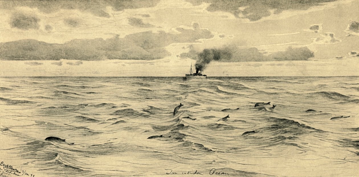 Ångfartyg på Indiska oceanen, 1898. av Christian Wilhelm Allers