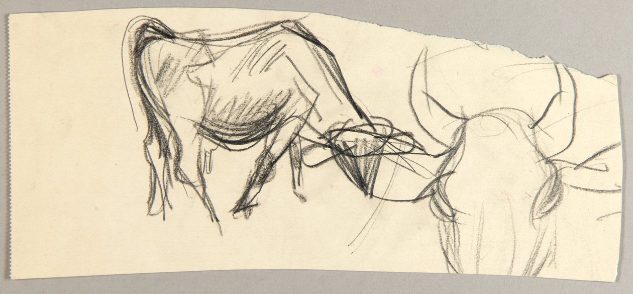 Oxen av Christoph Voll