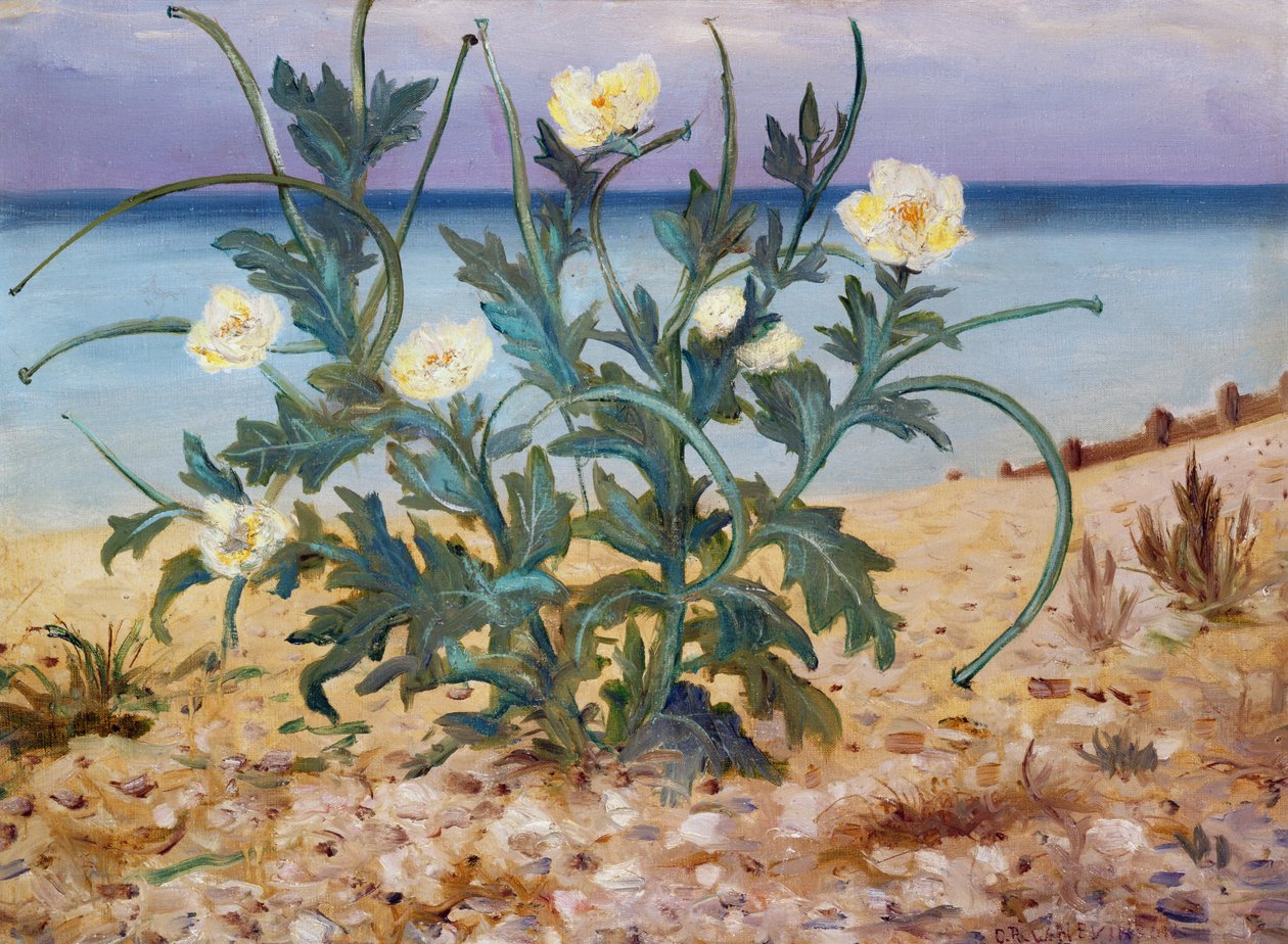 Sanddyner, östkusten, 1944 av Christopher Richard Wynne Nevinson