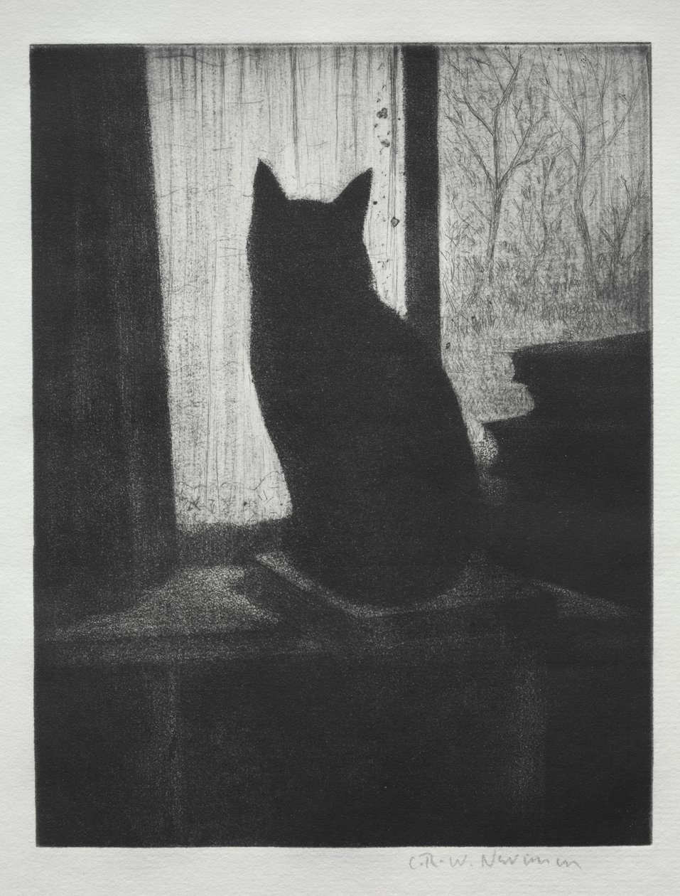 Katten av Christopher Richard Wynne Nevinson