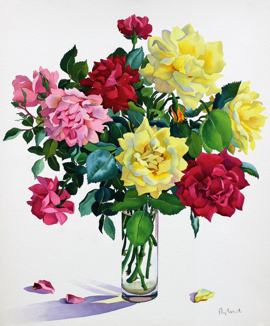 June Roses (akvarell på papper) av Christopher Ryland