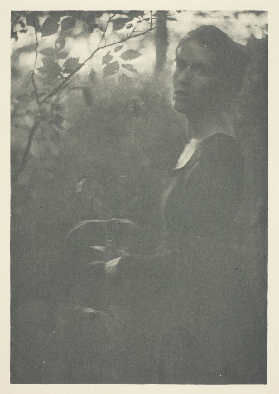 Edge of Woods av Clarence H. White