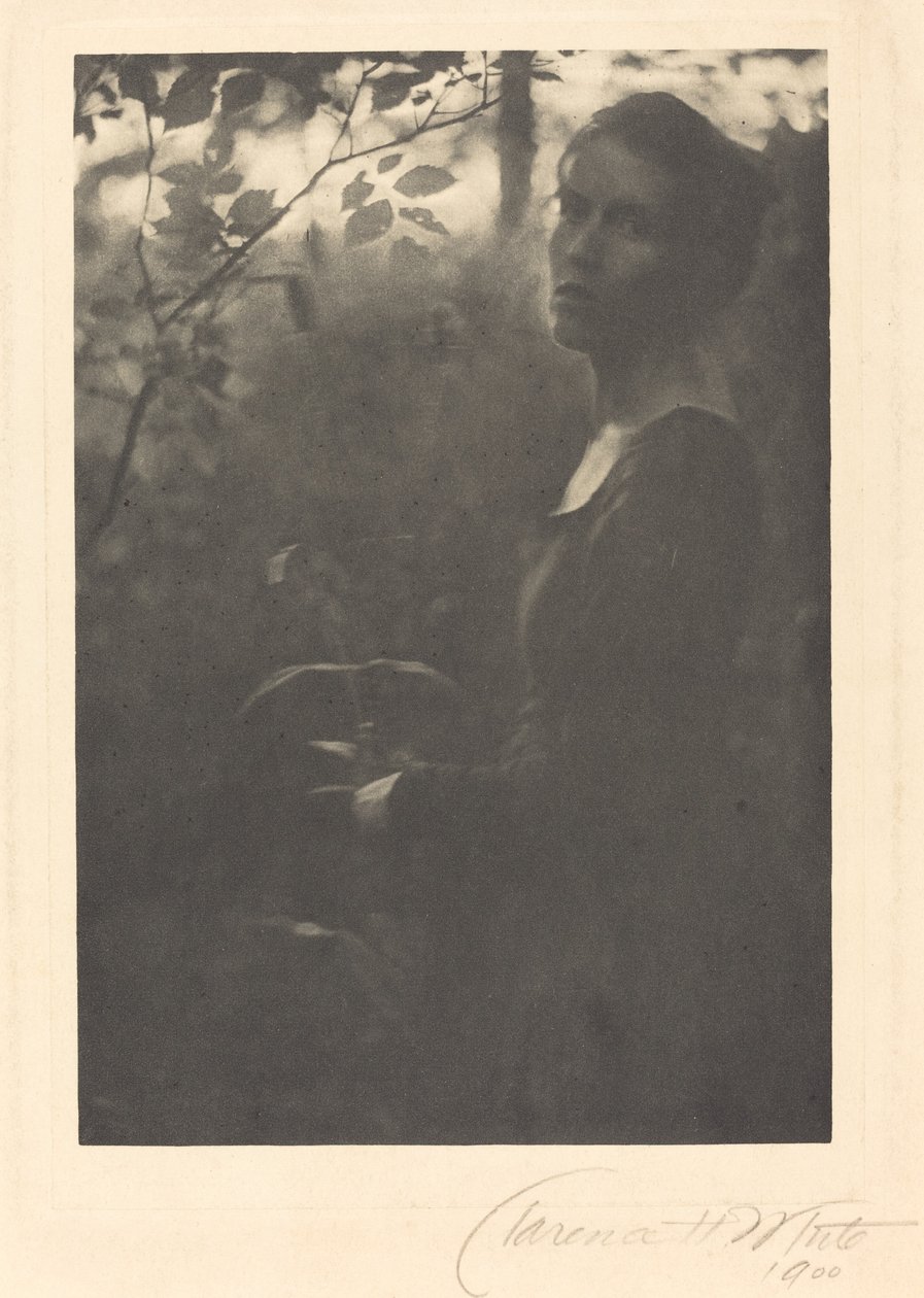 Edge of the Woods, kväll av Clarence H. White