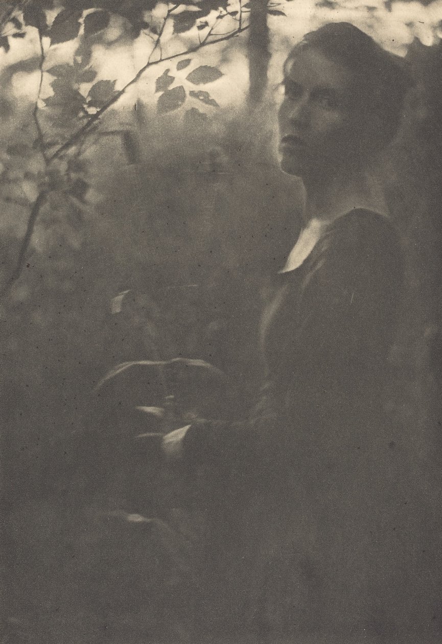 Edge of the Woods, kväll, 1900. av Clarence H White