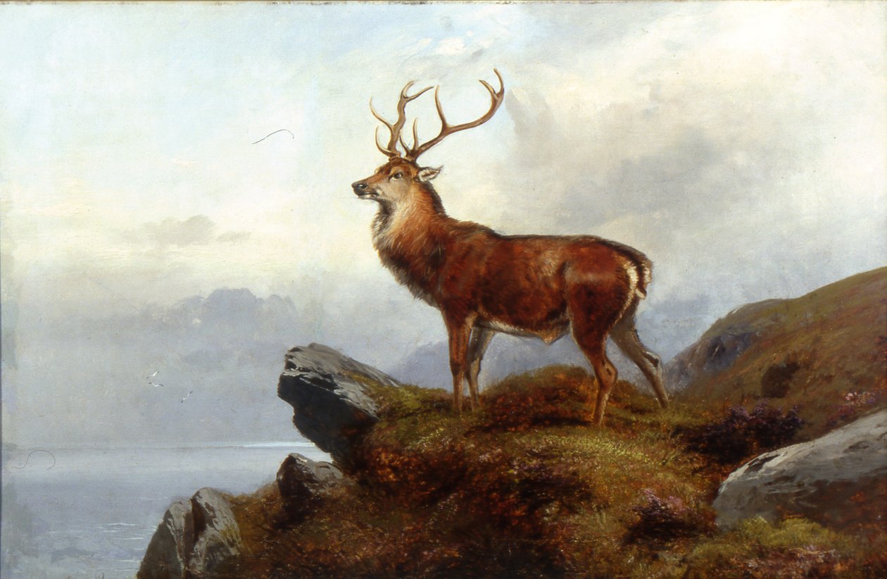 På alerten av Clarence Roe
