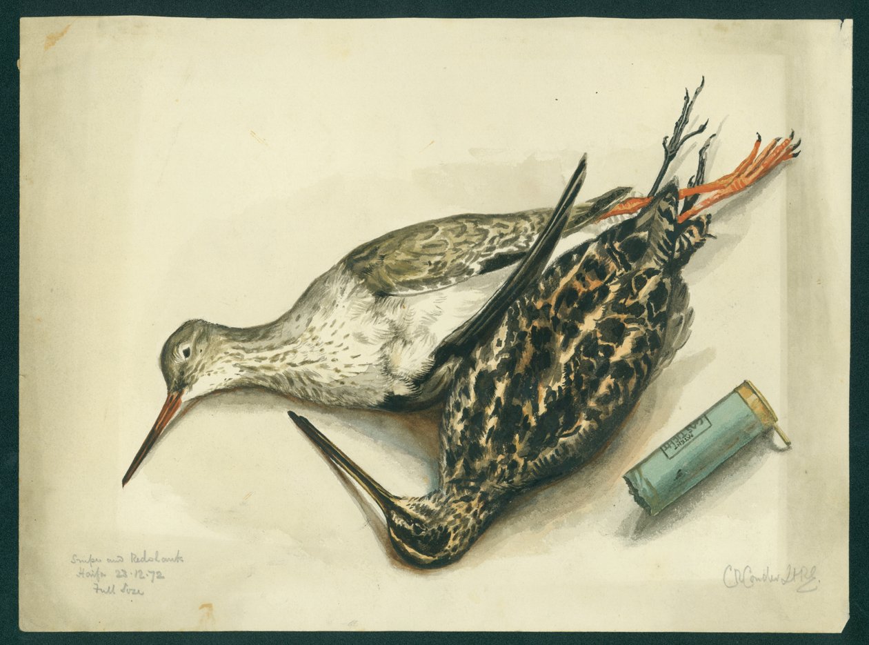 Snipe and Redshank, 1872 (wc und penna på papper) av Claude Conder