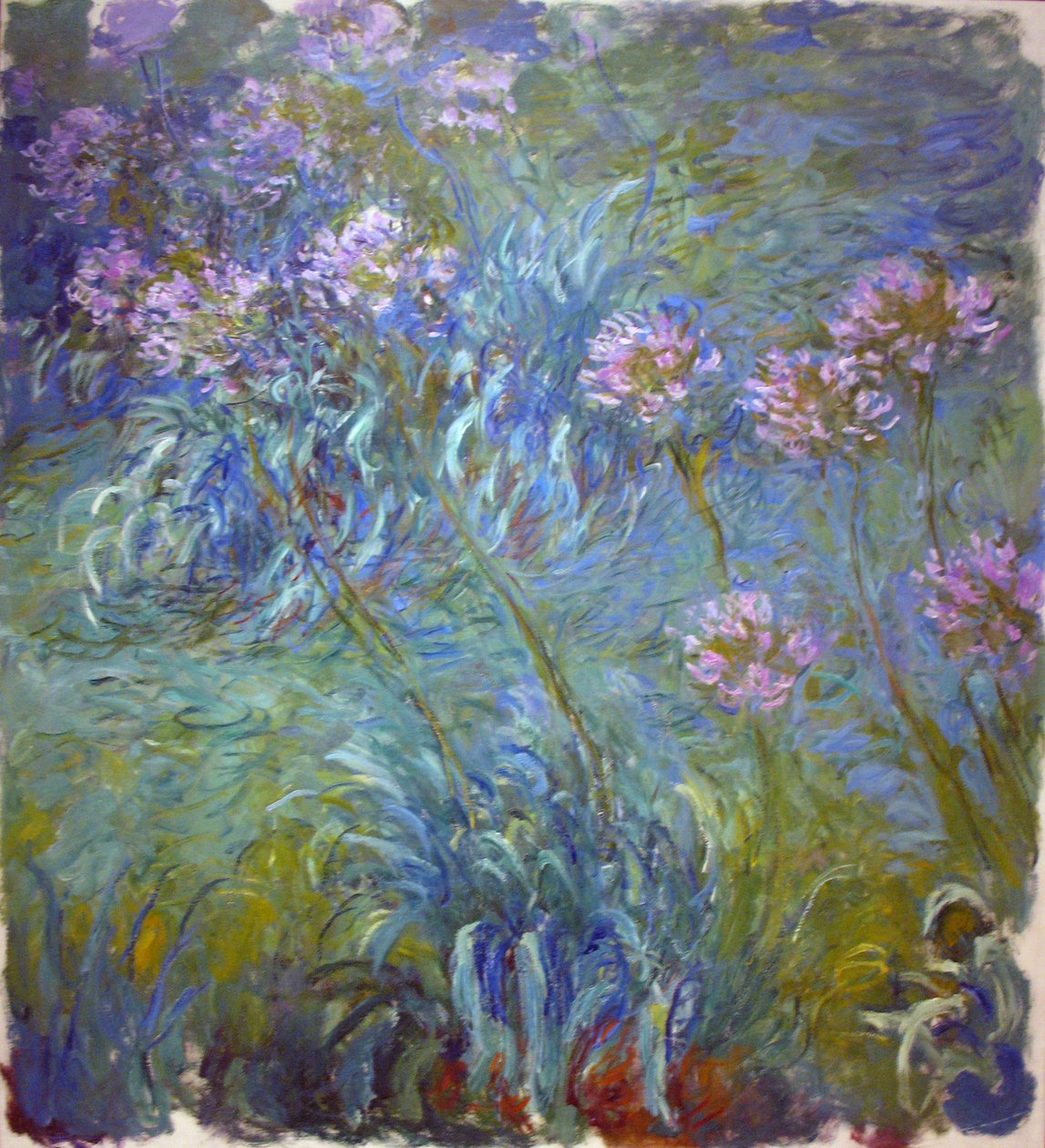 Agapanthus av Claude Monet