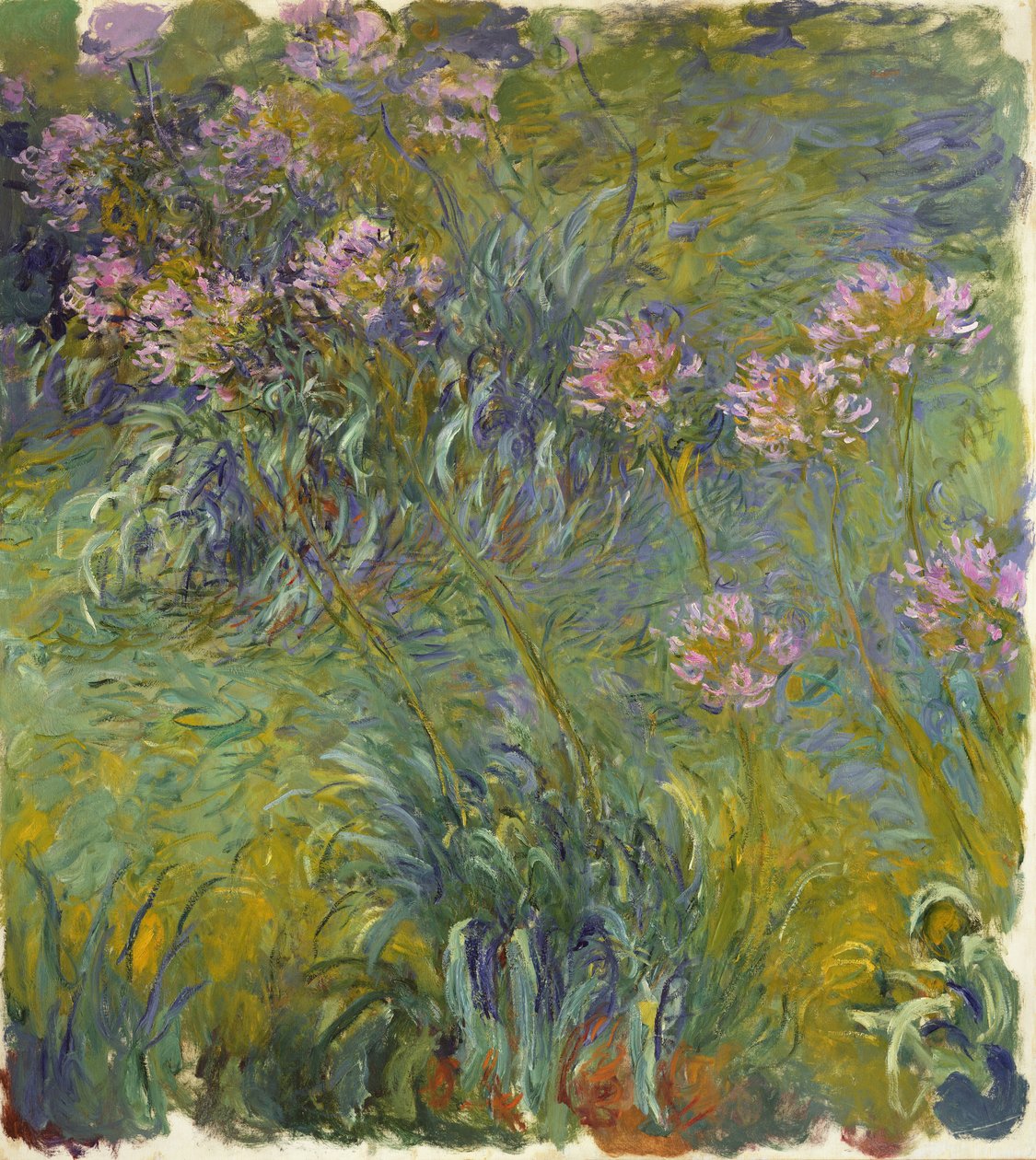 Agapanthus, 1914-26 av Claude Monet