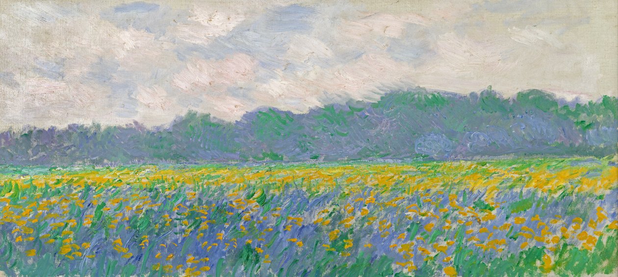 Fält med gula iris i Giverny, 1887 av Claude Monet