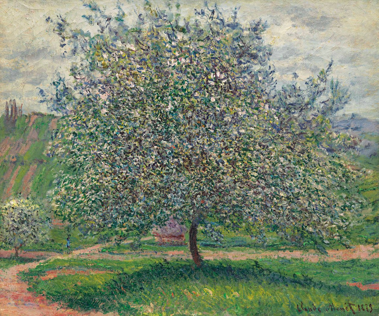 Äppelträdet av Claude Monet