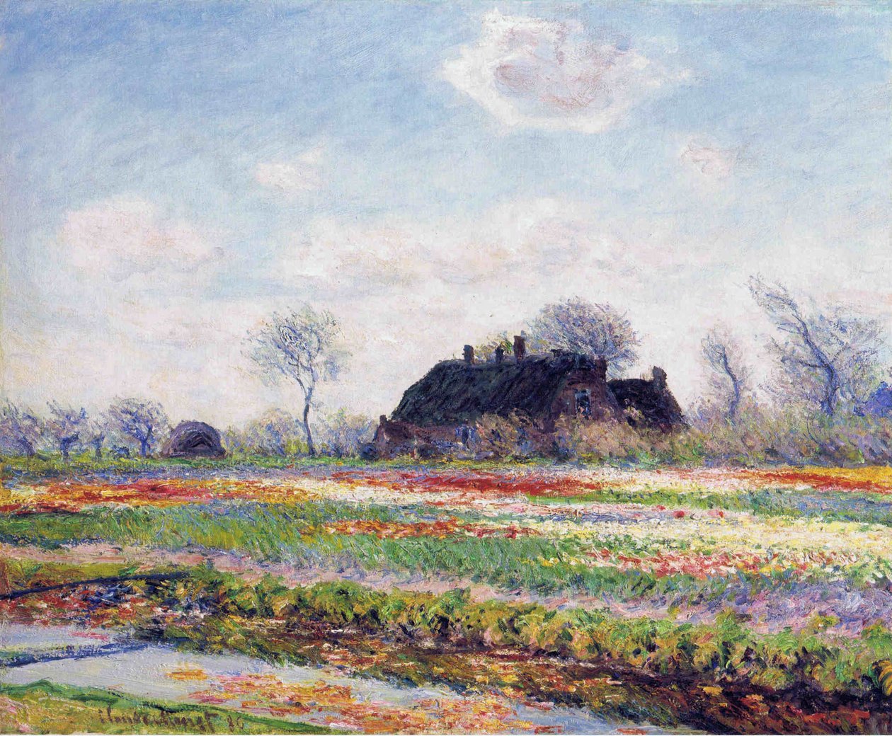 Tulpenfelder in Sassenheim av Claude Monet