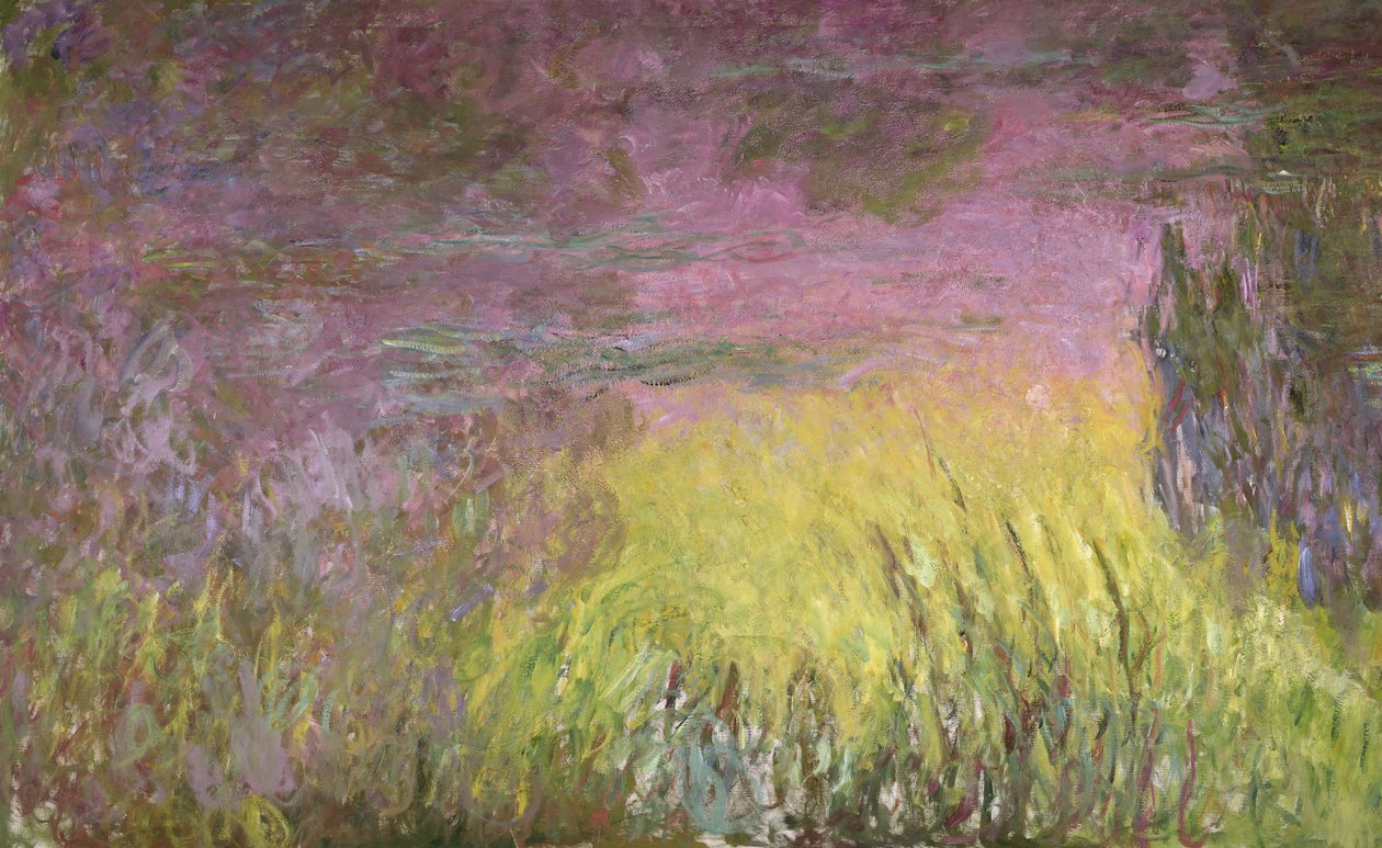 Åkander ved solnedgang, 1915-26 (detalje af venstre side) swed av Claude Monet