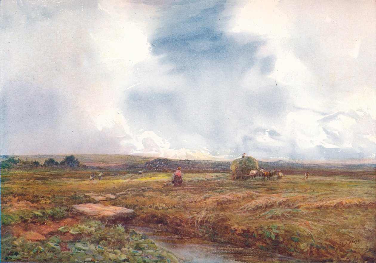 The Hayfield, 1872-1906, 1906. av Claude Hayes