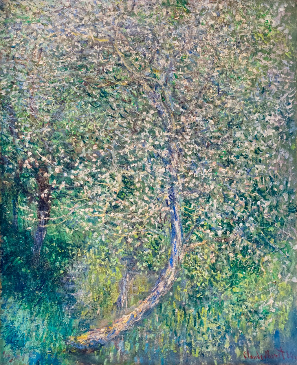 Äppelträd i blom vid vattenbrynet av Claude Monet