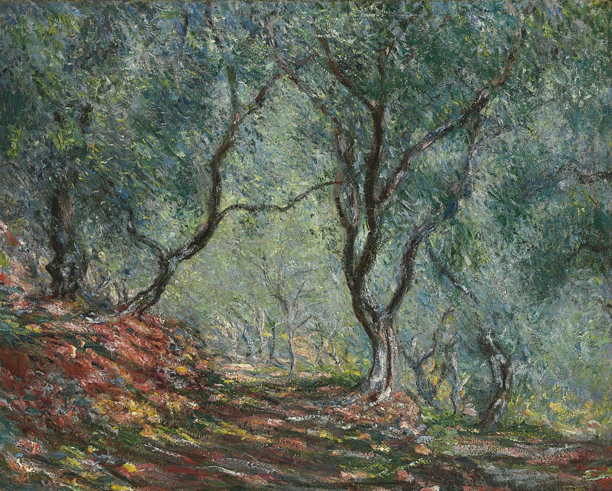 Olivlund i Moreno-trädgården, 1884 av Claude Monet