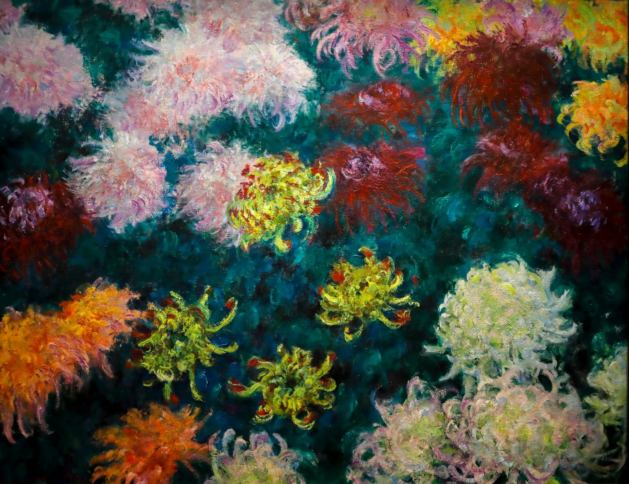 Krysantemum säng av Claude Monet