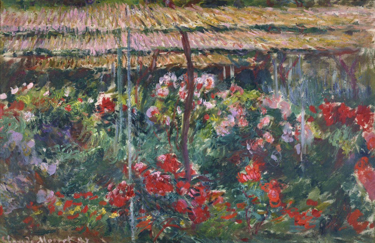 Pionträdgården, 1887 av Claude Monet