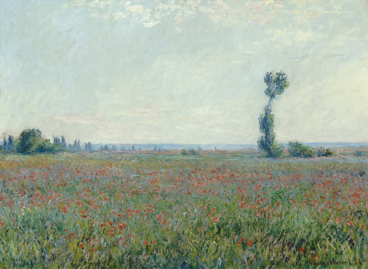 Poppy Field av Claude Monet