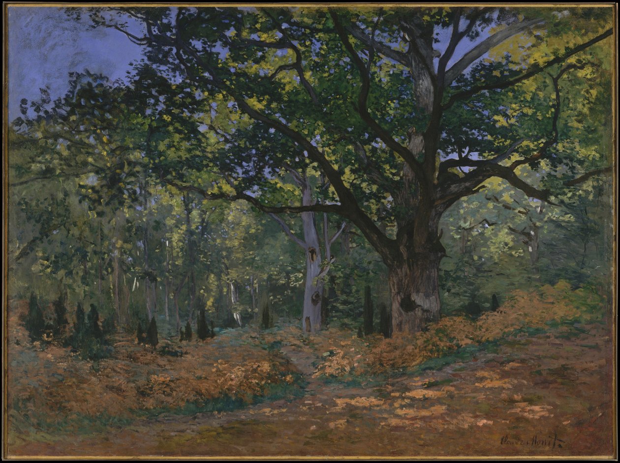 Bodmer-ek, Fontainebleau-skogen, 1865 av Claude Monet