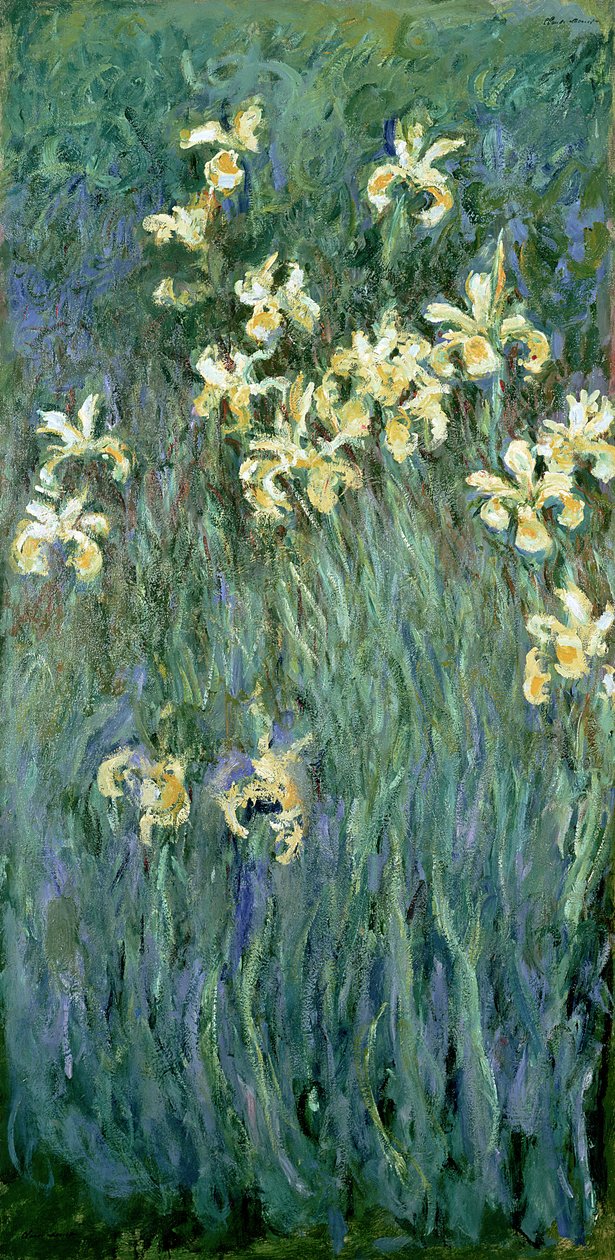De gula irisarna av Claude Monet