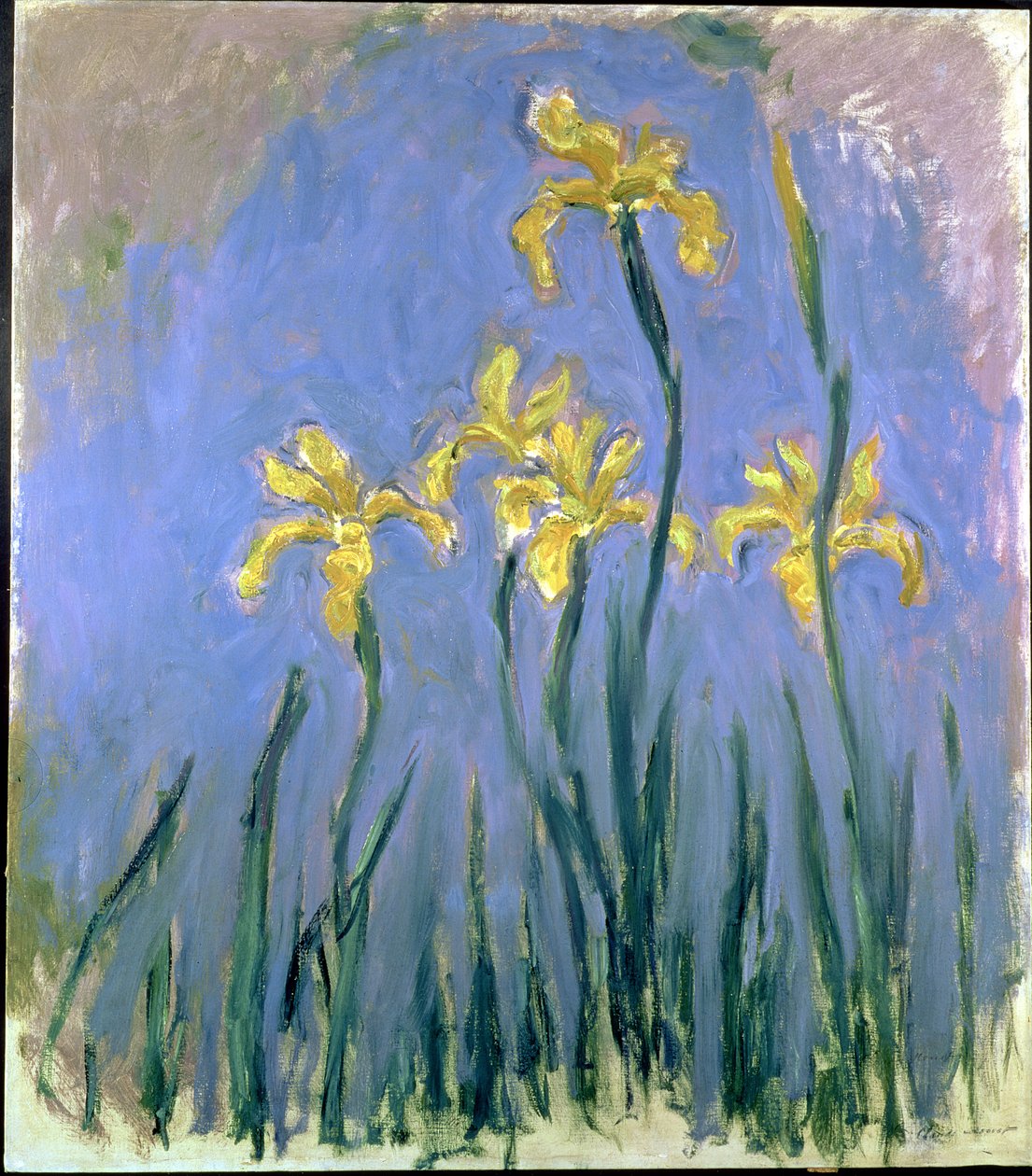 De gula iriserna, ca 1918-25 av Claude Monet