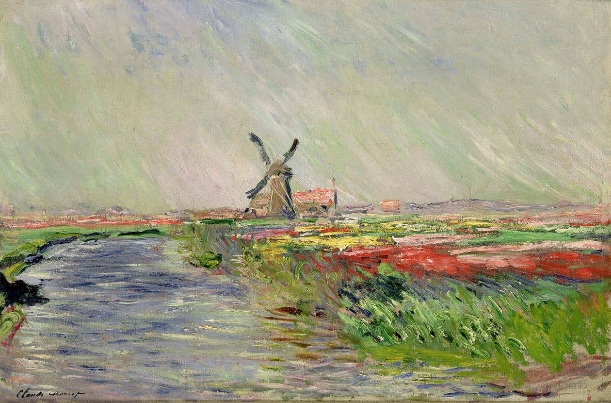 Tulpanfält i Holland av Claude Monet