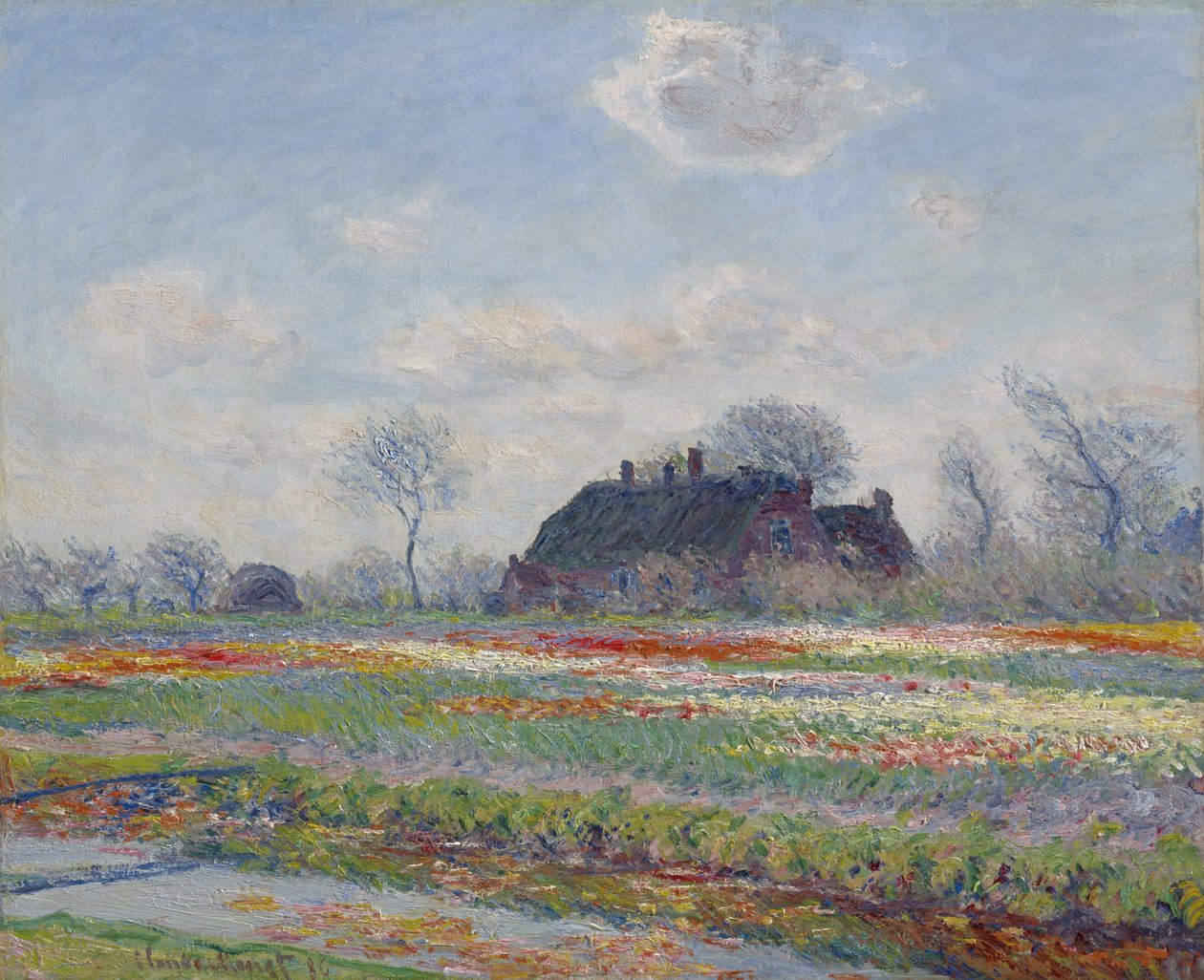 Tulpanfält i Sassenheim, 1886 av Claude Monet