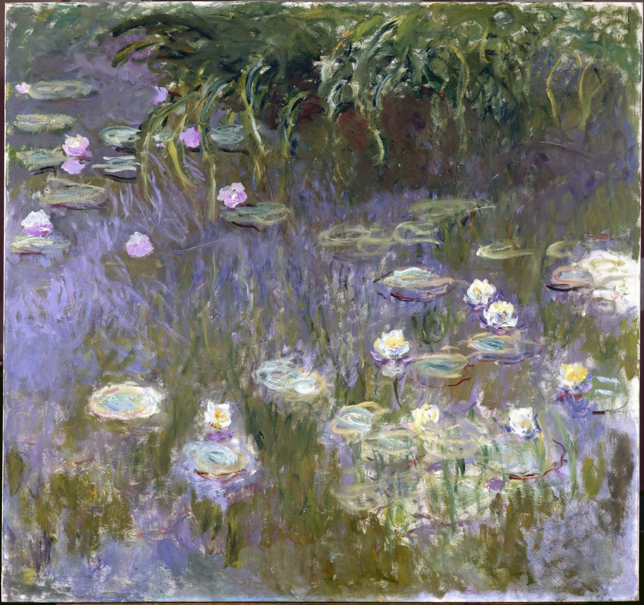 Näckrosor av Claude Monet