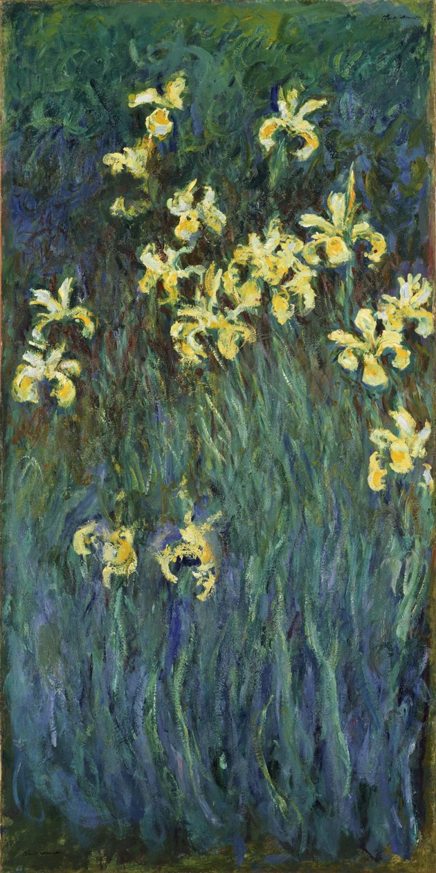 Gula iris, 1914-1917 av Claude Monet