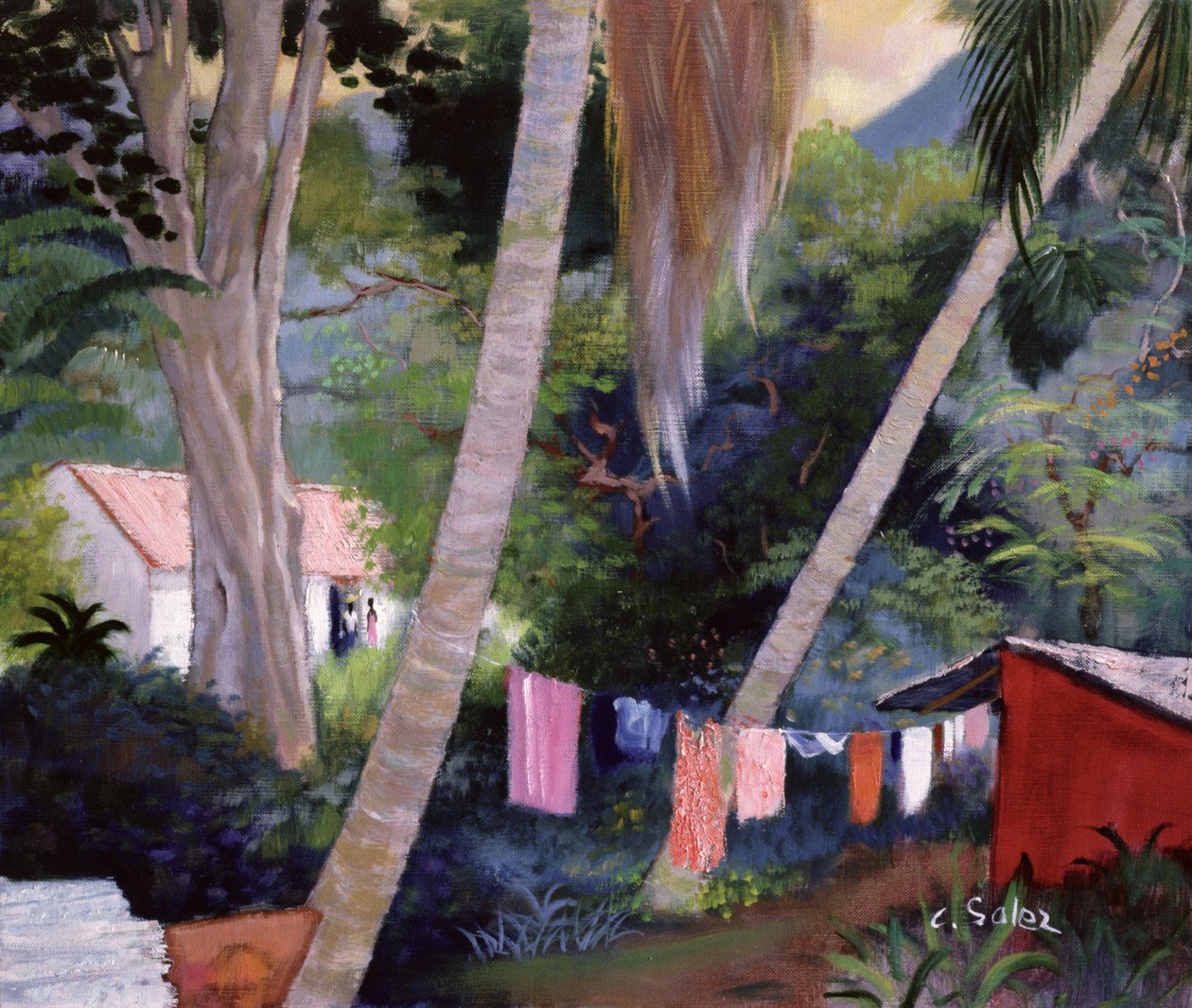 Torktvätt, Guadeloupe av Claude Salez