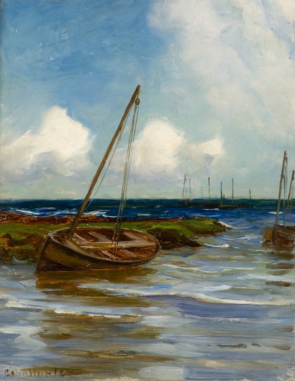 I vila av Colin Hunter