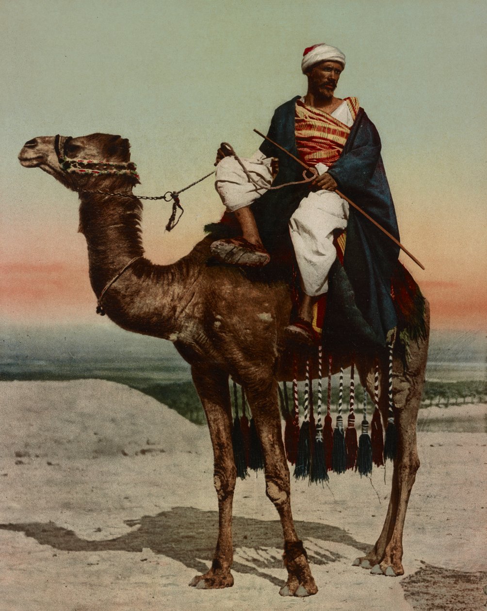 En beduin, Kairo, Egypten av Company Photoglob