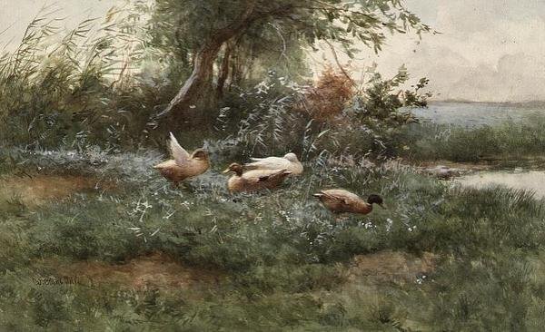 Ducks by a Pond (olja på duk) av Constant Artz