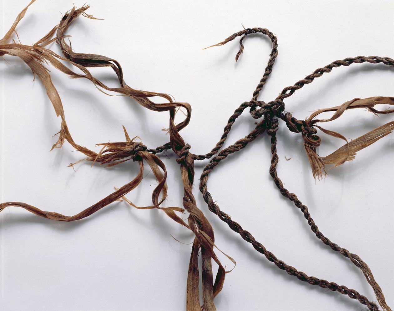 Nät som förmodligen används för att fånga fåglar, hittat med Oetzi Iceman (gräs) av Copper Age