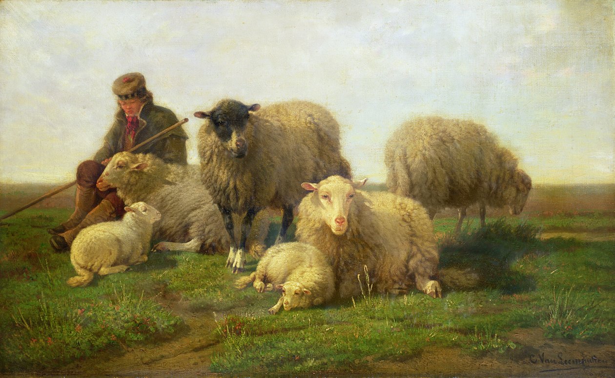En herde med får och lamm av Cornelis van Leemputten