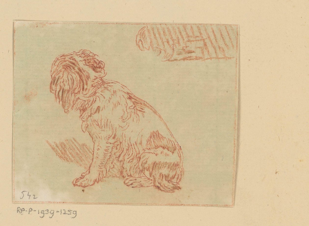 sittande hund av Cornelis Brouwer (possibly)