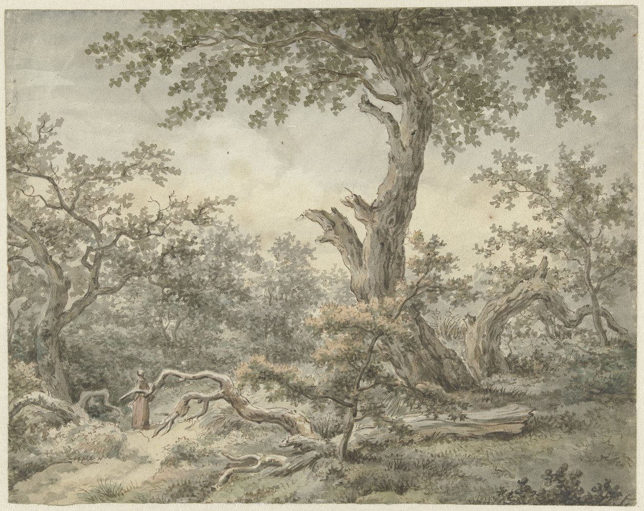skogslandskap av Cornelis Buys