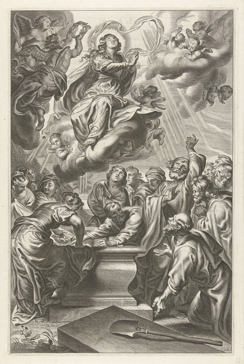Marias antagande av Cornelis Galle (II)