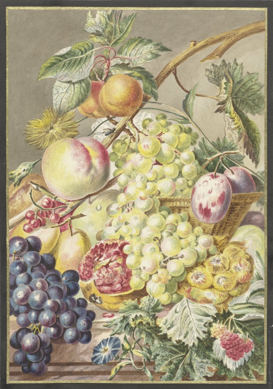 Fruktbit av Cornelis Ploos van Amstel
