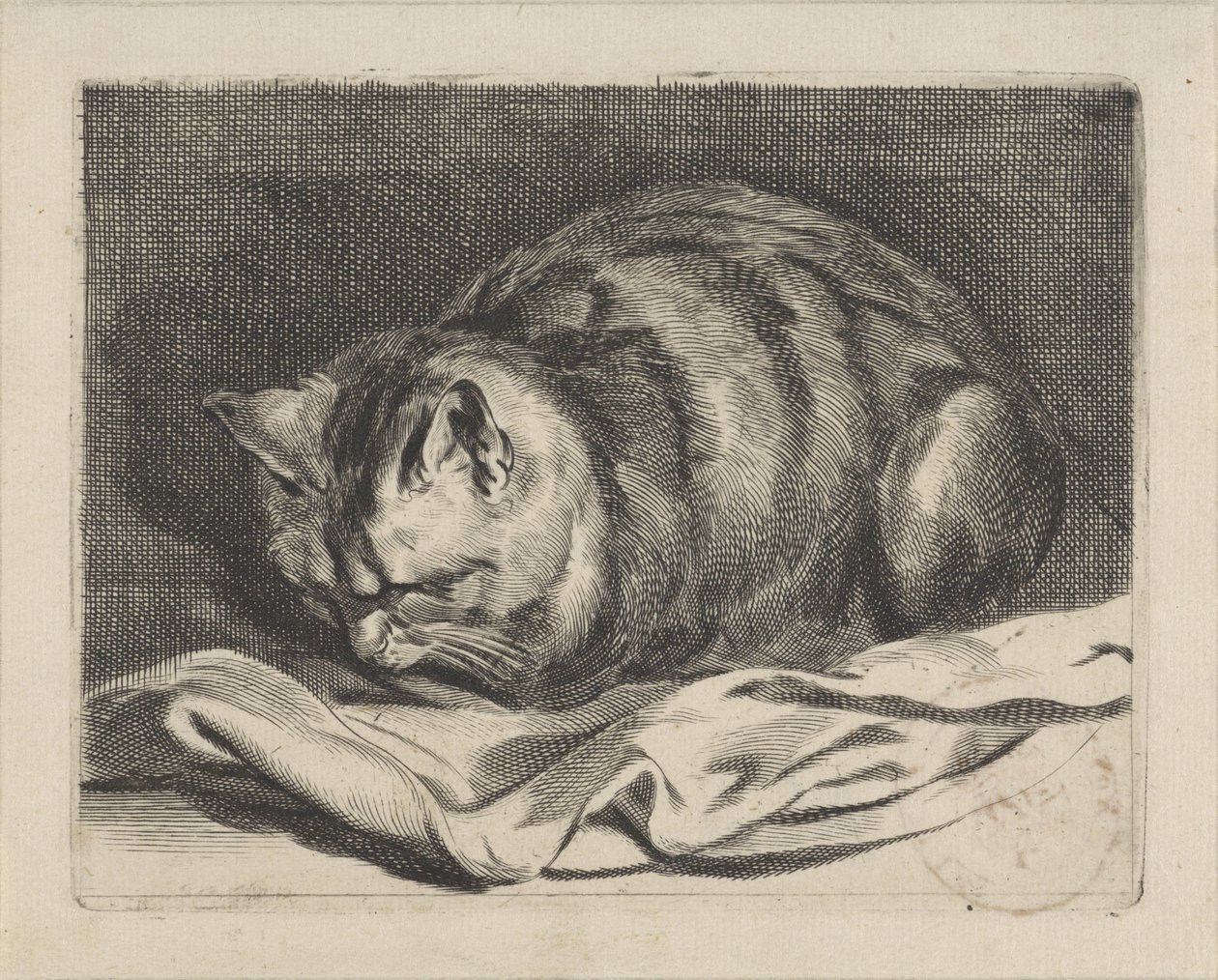 lilla katt av Cornelis Visscher (II)