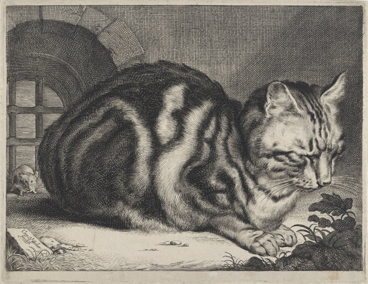 Den stora katten av Cornelis Visscher (II)