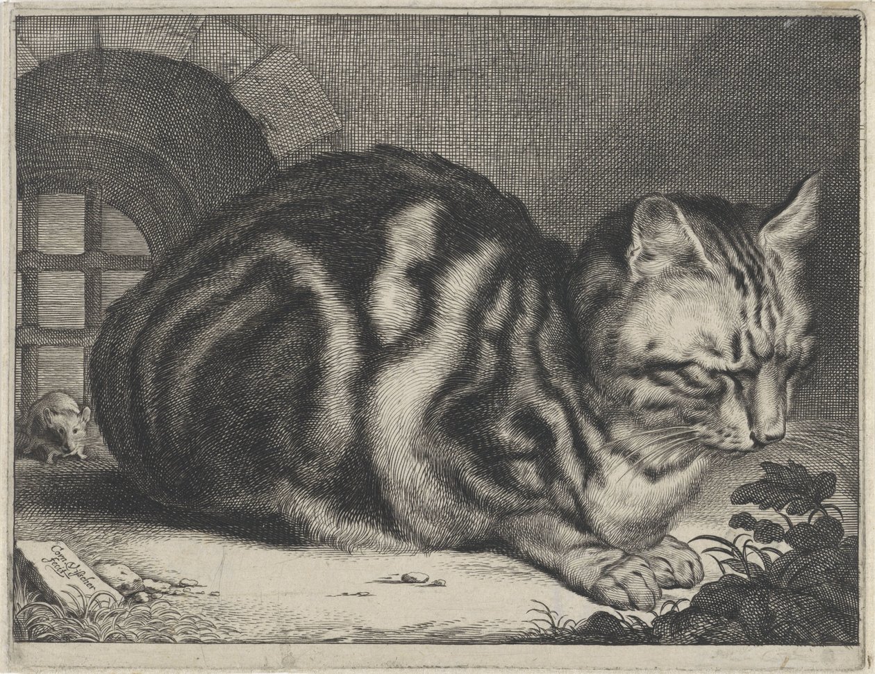 Den stora katten av Cornelis Visscher (II)