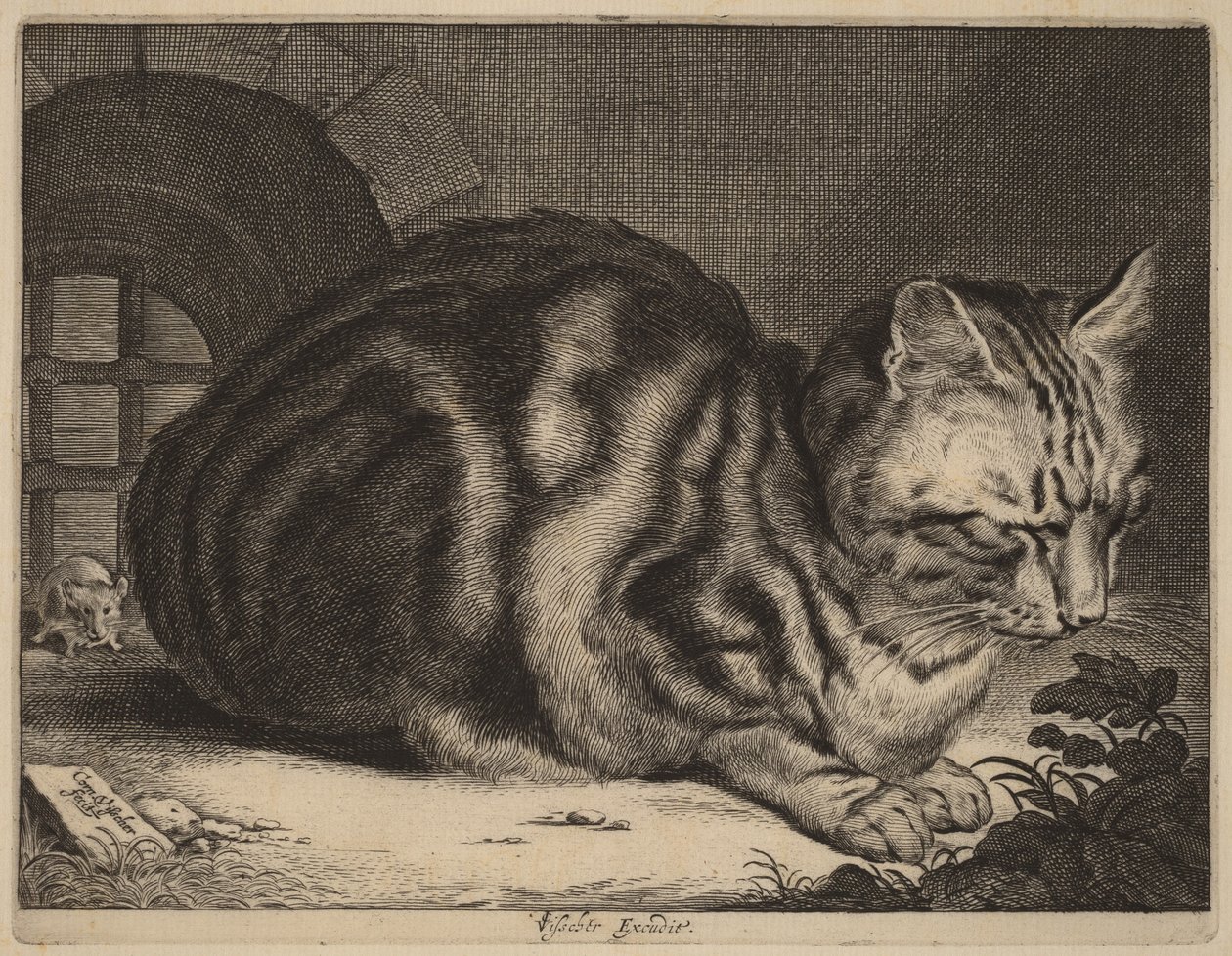 Den stora katten av Cornelis Visscher