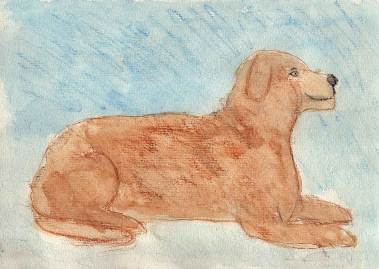 Drömmer om en hund av Crazy Artist