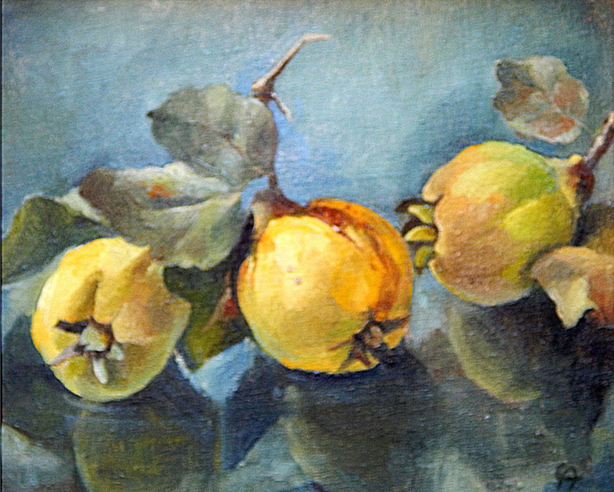 Quinces, 2011, av Cristiana Angelini