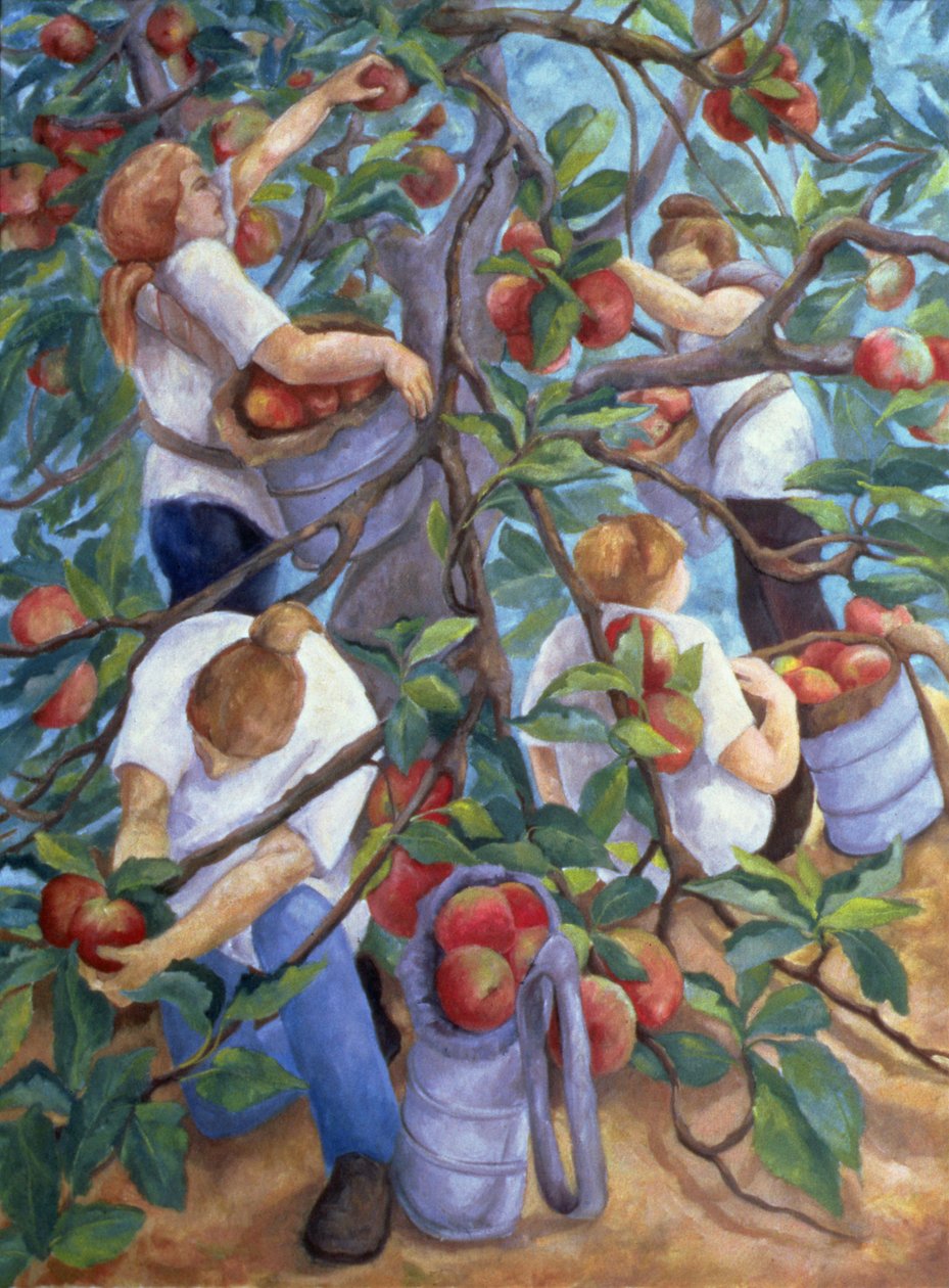 Apple Pickers, 1996 av Cristiana Angelini