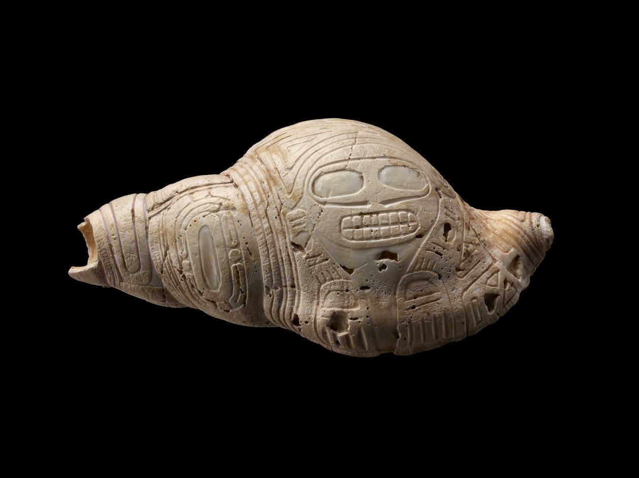 Snidat Conch Shell av Culture Taino